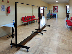 Pokretni zid zrcala 200 cm x 190 cm x 80 cm. crno